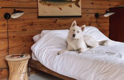 Private Adirondack Log Cabin, Hot Tub, Sauna & Swimming Hole, near Whiteface - Foto 58