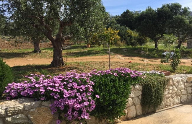 The Olive Grove Tsapi - Foto 13