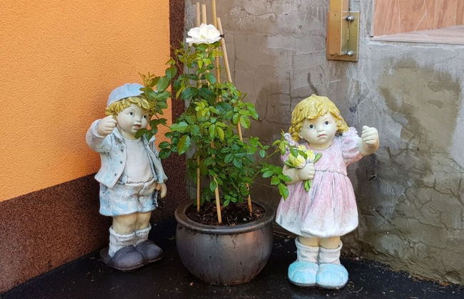 Holiday Apartment Taca 1 - Foto 8