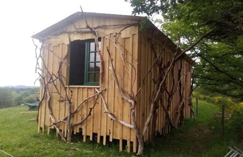 Ferme de la Luciole - Photo 16