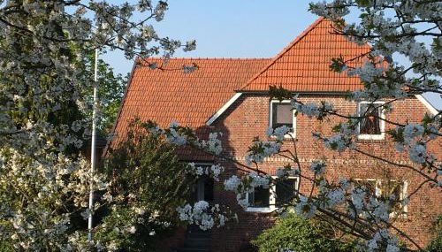 Ferienwohnung Gosch am Lühedeich - Photo 3