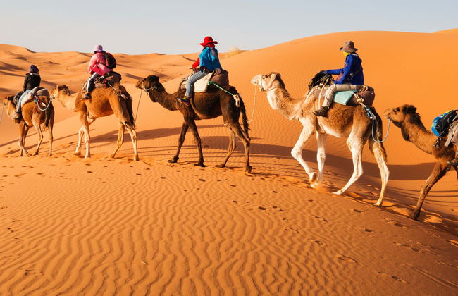 Private 8 Day Tour of Morocco - Photo 1