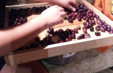 Casa de Campo dos Távoras - Foto 64