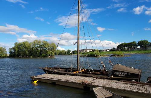 2 LYS Orleans Downtown, free secure parking - Foto 12