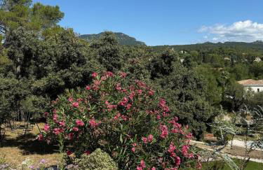 Chalet with a view of Pic Saint Loup, large garden - Foto 28