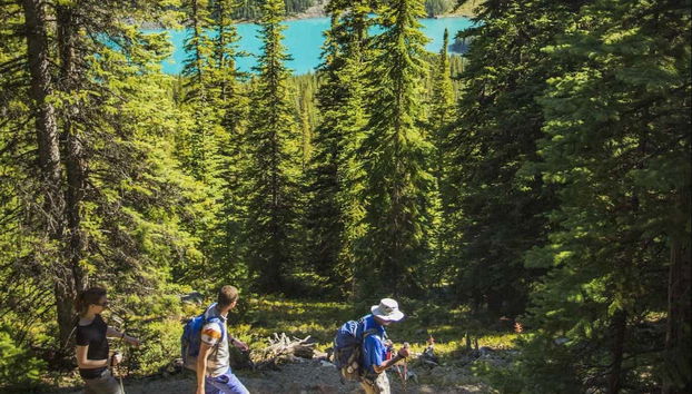 Recorriendo el valle Larch