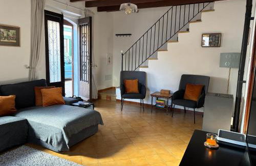 Sweet William - Foto 8