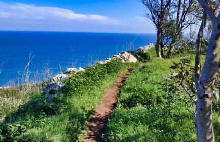 Castello di Andrano - Splendido bilocale con WiFi a 5 minuti dal mare - Foto 18