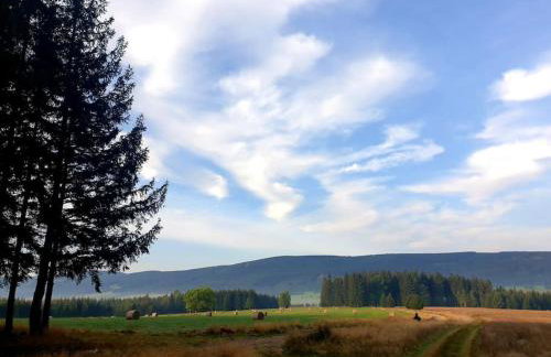 Komfortowy dom z bali koło Zieleńca z widokiem na góry - Foto 40