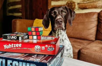 Glenna - Historic Cabin in the Florence Preserve - Foto 32