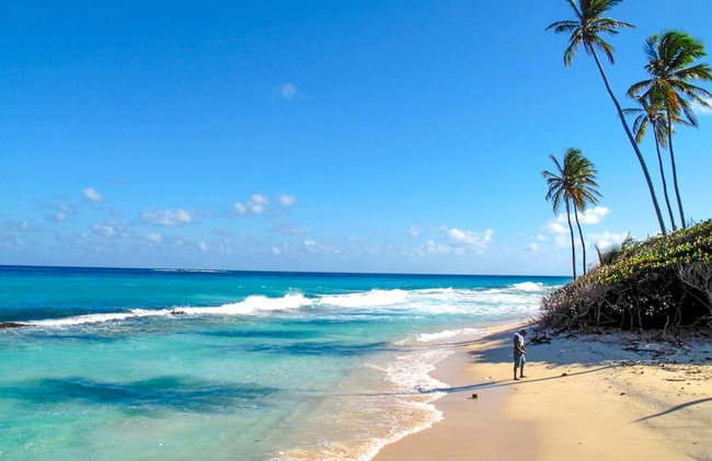 Ocean View by Bluescape - Foto 55