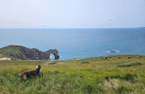 Jurassic Bliss - stylish static caravan with partial sea view at Durdle Door - Foto 47