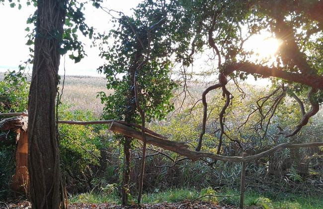 6 Person Holiday Home in Praesto-by Traum - Foto 7