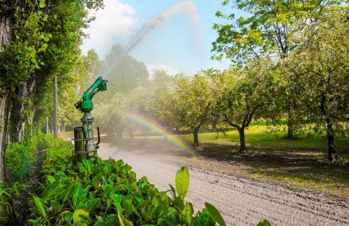 Lake & Country Holidays - Foto 43