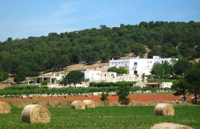 Masseria Torricella - Foto 37