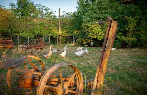 Parc animalier des Clautres - Maison Roulottes Tente - Photo 20