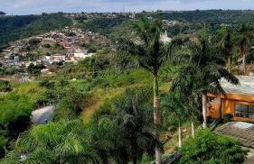 Aconchegante apartamento studio em Bananeiras - Photo 37