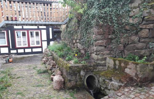 Fewo Froschkönig - Foto 17