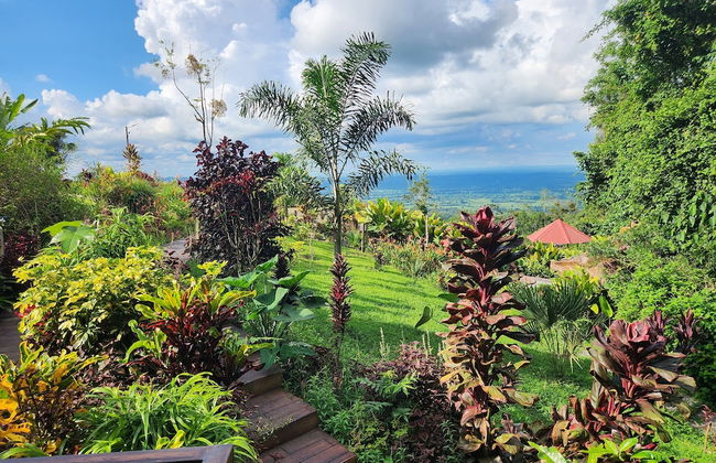 Cabañas Caeli Rainforest Glass Cabin El Congo La Fortuna - Foto 42