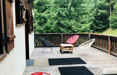 Chalet Rivière du Bon Nant Location de 6 à 14 personnes en Haute Savoie - Foto 17