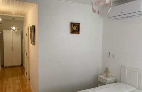 Melro-d' água - Foto 13