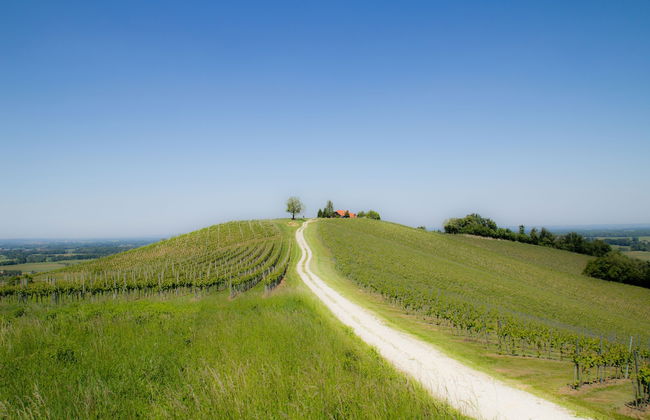 Holiday House Podhamer Boris - Foto 38