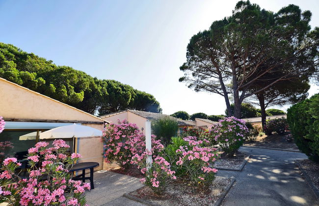 Village Vacances de Ramatuelle - Le Sentier des Pins - Foto 32