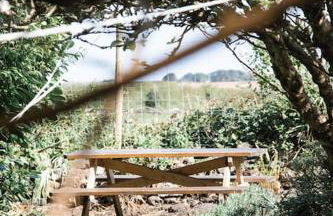 Charming Cornish Cottage, Portreath, Dogs Welcome - Foto 12