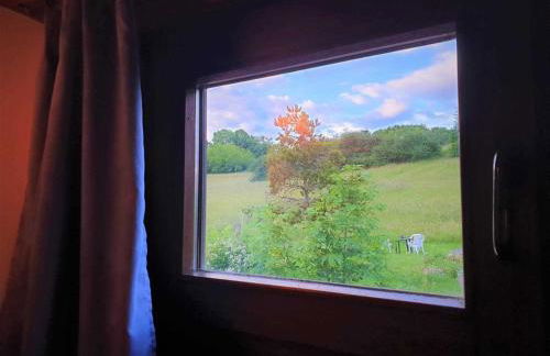 Feriendorf Öfingen - Urlaub im Schwarzwald - Photo 30