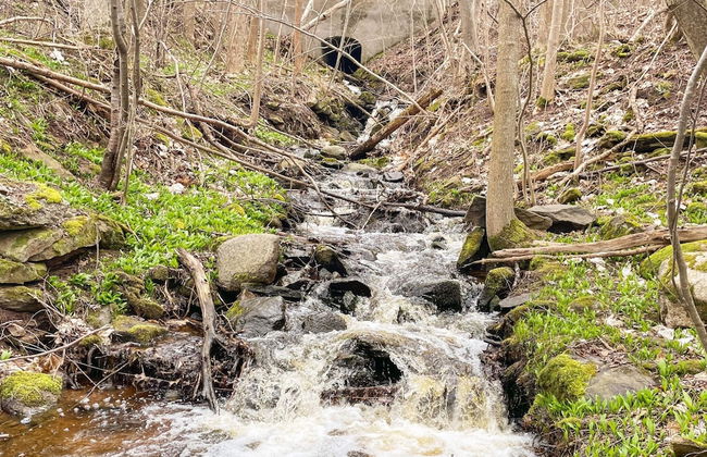 4 Person Holiday Home in Granna - Photo 9