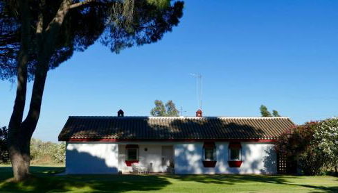 La casita de Hato Pinos, un rincón en Doñana - Foto 2