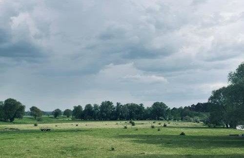 Ferienwohnungen Stolzenhagener 7 - Foto 31