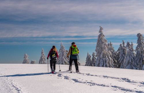 Ferienwohnung Seeblick Nr 5, 2 Zi-Bärental, Feldberg - Foto 12
