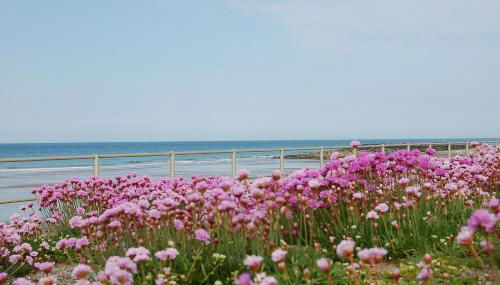 Salt Marsh Apartment - Photo 4