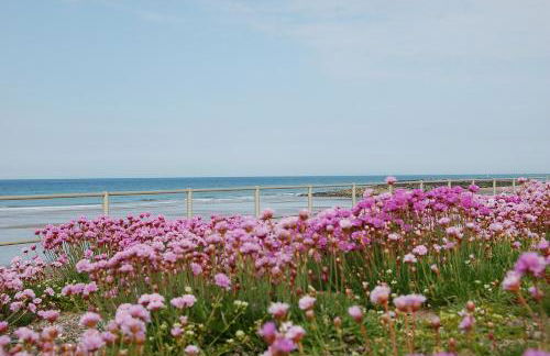 Salt Marsh Apartment - Foto 4