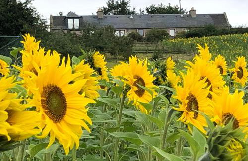 Garden Bank Cottage - Foto 15