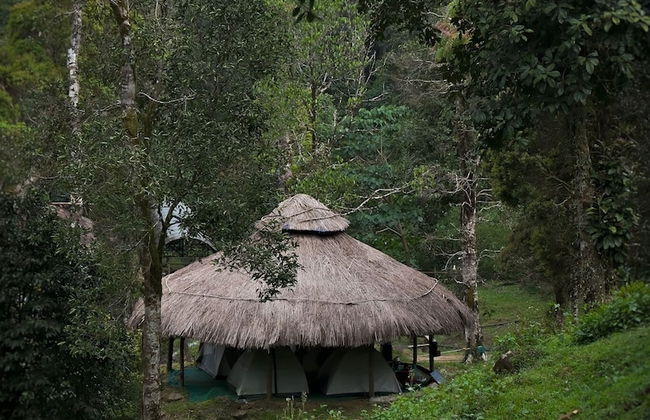 Tentgram 900 Kandi - Foto 7