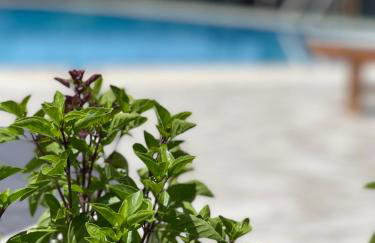 Stomio Villague - Foto 61