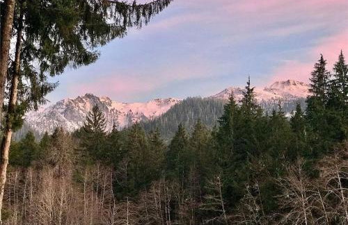 Riverfront cabin with hot tub and sauna 1st floor - Foto 13