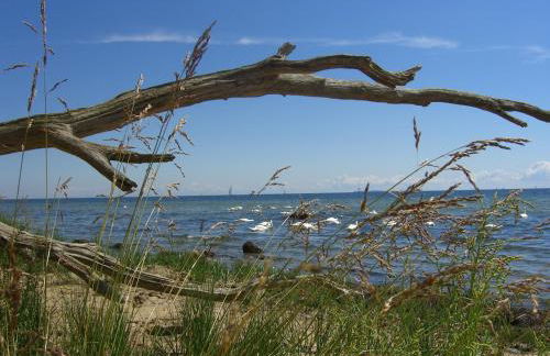 Ferienhaus Boddenhus - Foto 11