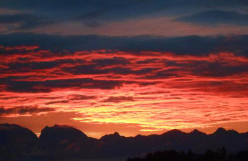 Agriturismo La Casa Nei Boschi - Foto 3