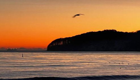 Schlösschen am Schmachter See - Foto 3