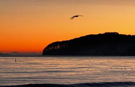 Schlösschen am Schmachter See - Foto 3