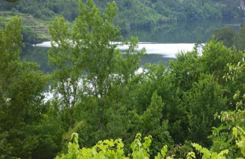 Granite House by Tâmega with Pool - Foto 33