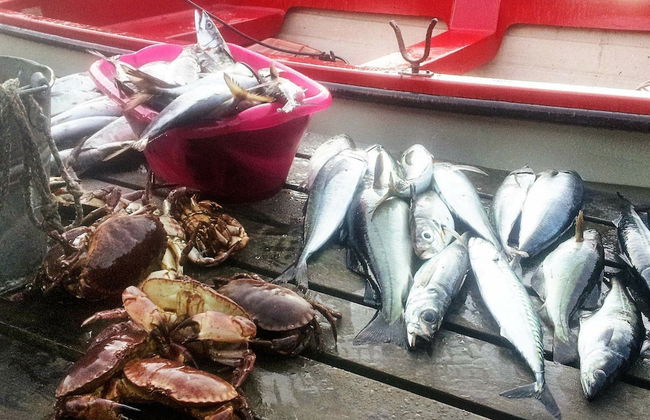 11 Person Holiday Home in Syvde - Foto 14