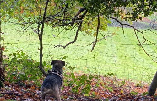 Steeple View - Romantic Wye Valley Country House Studio Apartment - Dog Friendly - Foto 27