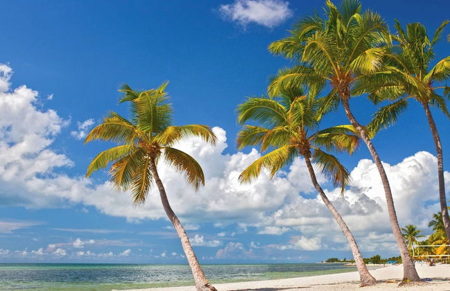 Casita de Catherine by Avantstay 1 Block to Duval St w/ Hot Tub! - Photo 30