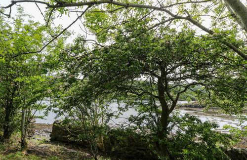 3 Whin Bank - Photo 38