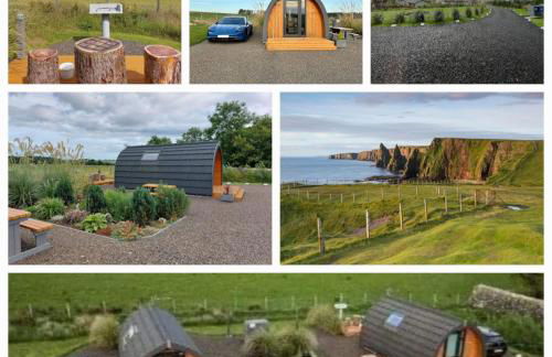 North Star Glamping - Foto 77