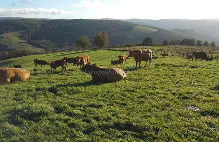 Apartamentos Casa de Riba - Foto 37